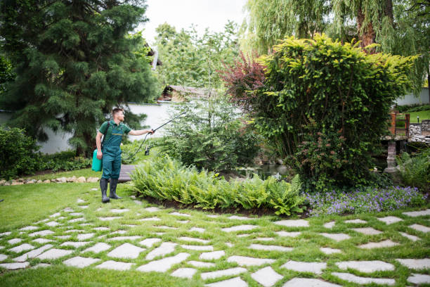 Best Affordable Pest Control Services  in Larkspur, CA